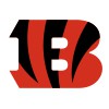 Cincinnati Bengals Face Mask, Cincinnati Bengals NFL Face Mask